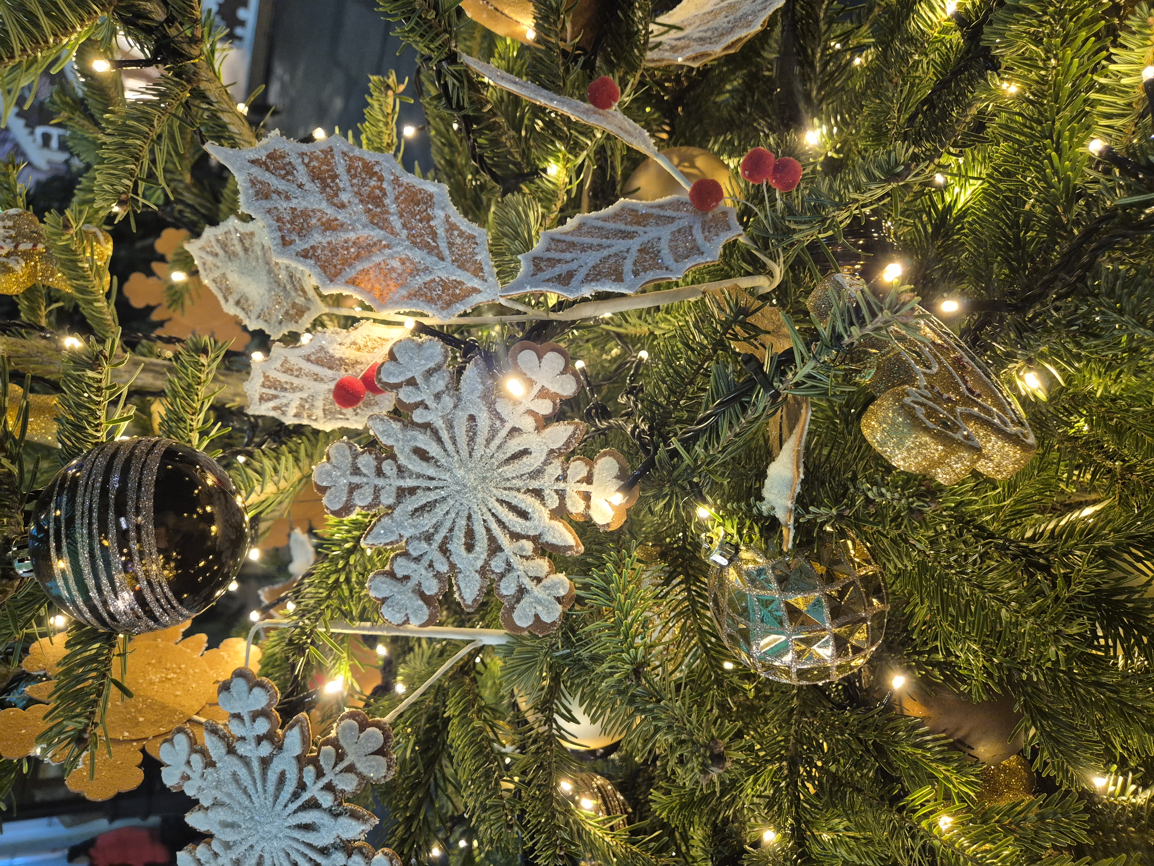 «Мне нечего просить, кроме бесконечного количества сил»: письмо Деду Морозу № 5