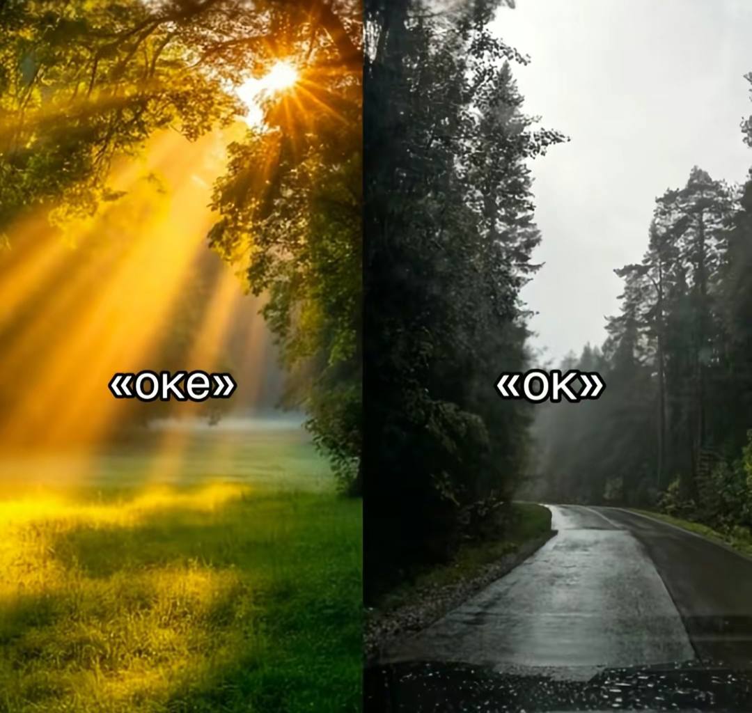 Поделитесь любимым мемом прошедшей недели