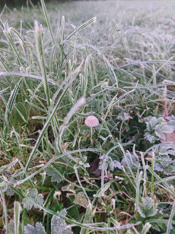 «82 метра»: я прочла пять книг в сентябре