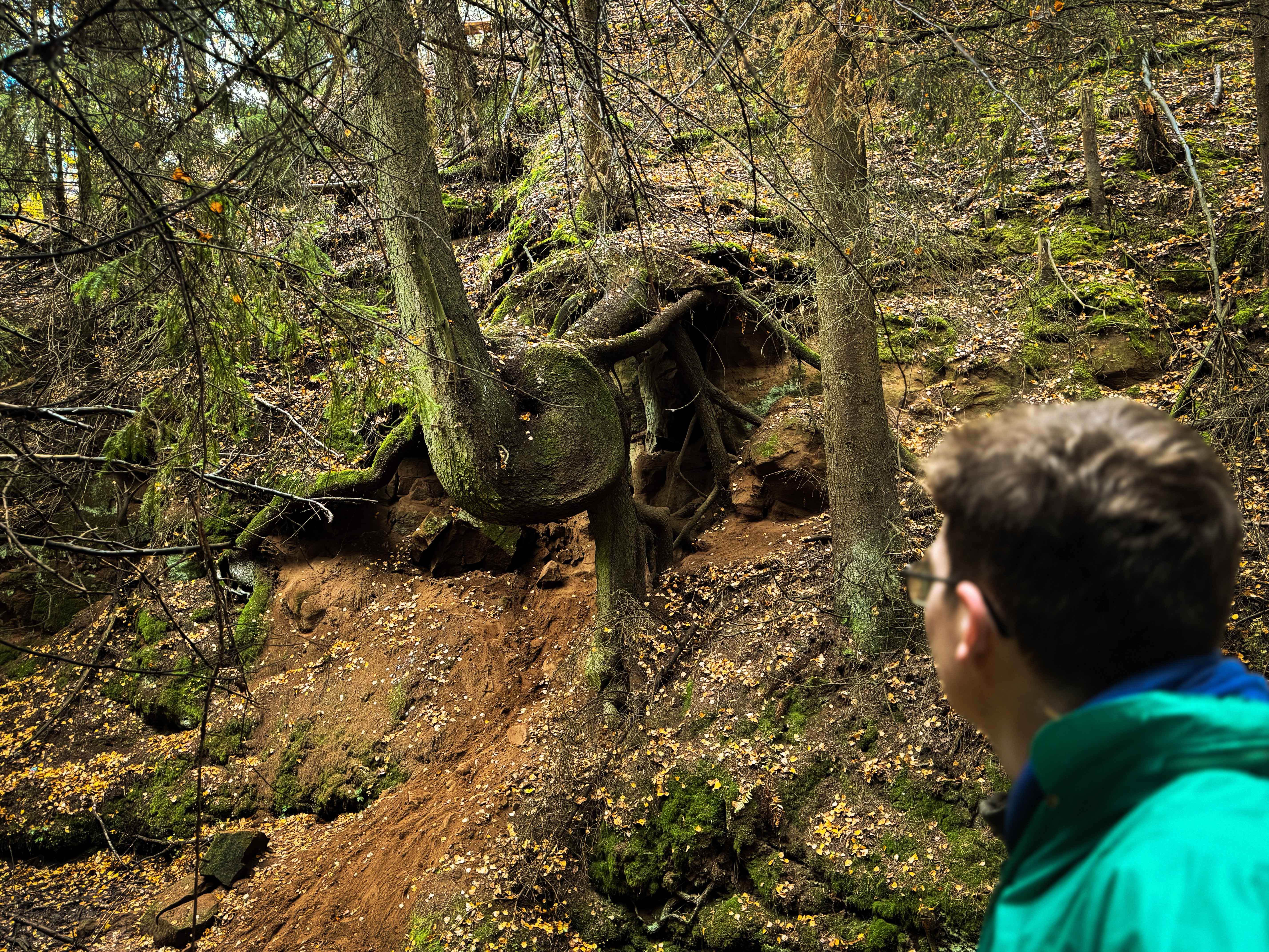Золотая осень, пещеры и гигантская линейка: как мы влюбились в Удмуртию