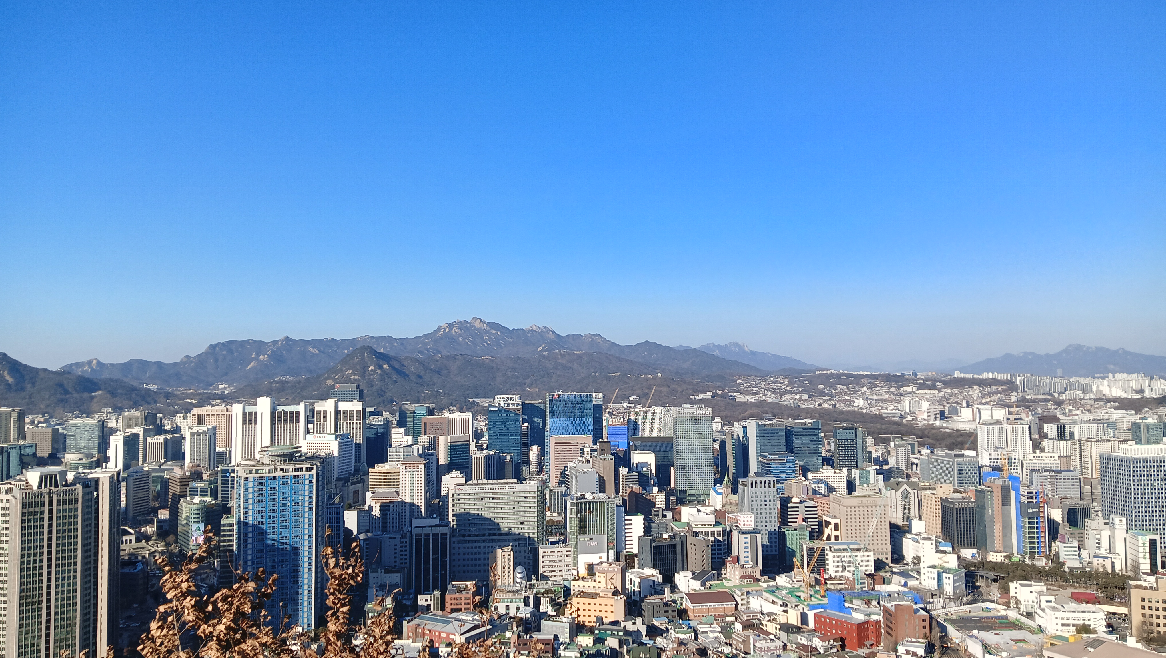 «Стоит быть максимально внимательным»: как я искала работу за границей