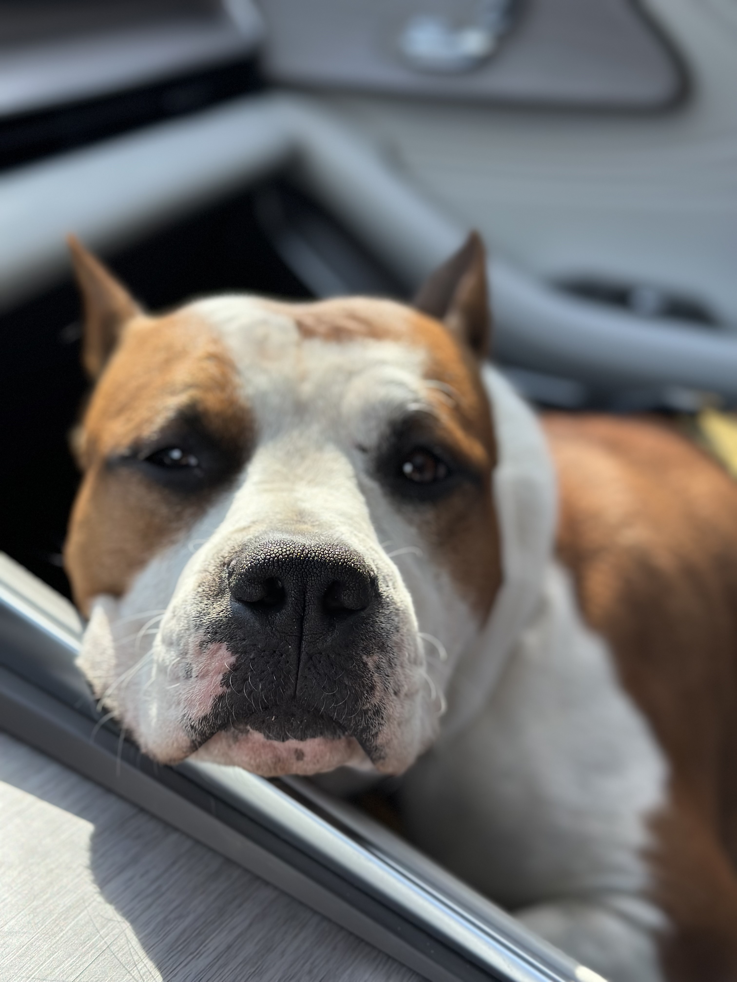 Купальный сезон объявляем торжественно открытым: как мы с Каем сходили в лес