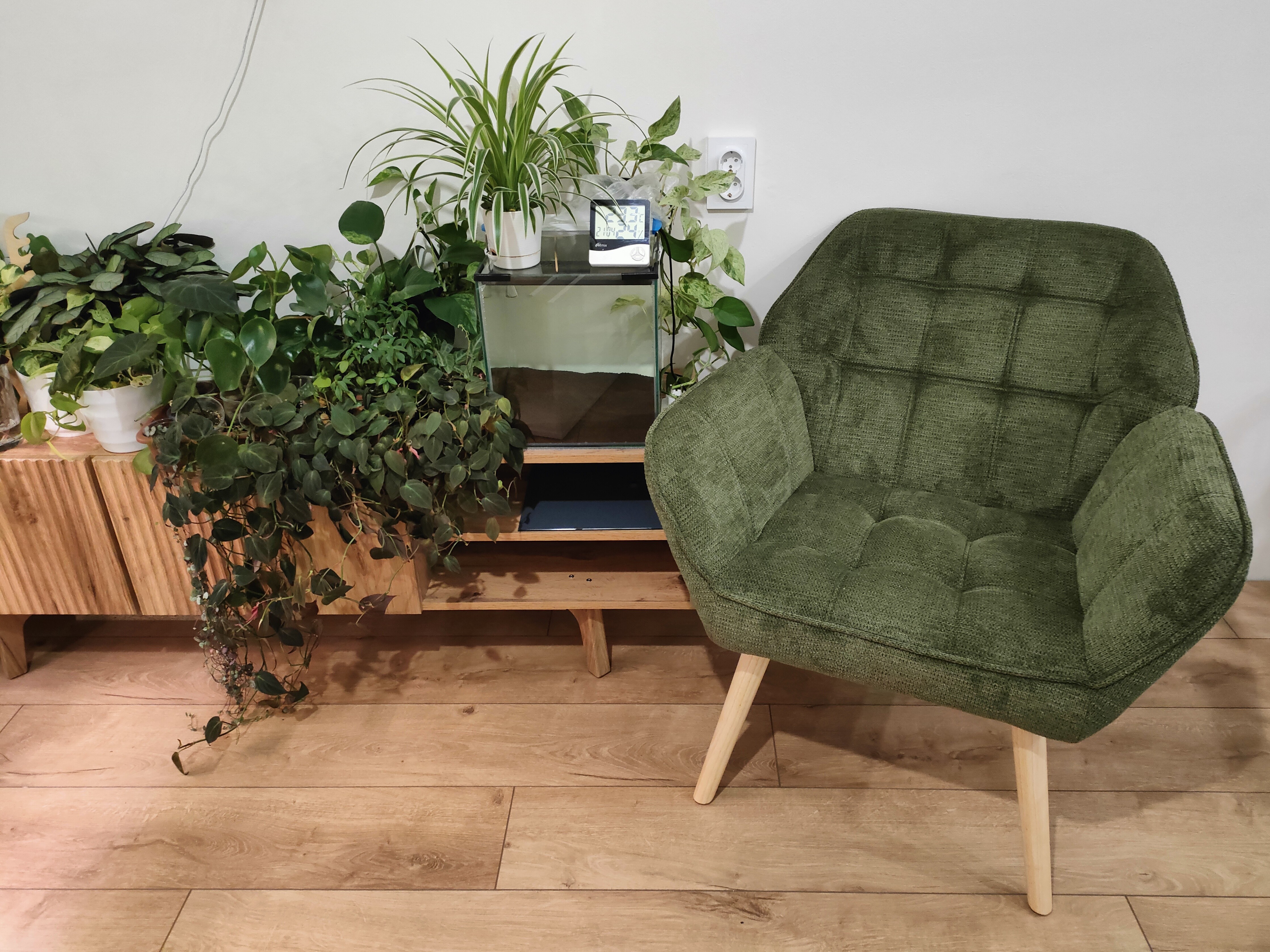 Я планирую возобновить чтение в прежнем объеме и устроить себе специальный уголок для чтения