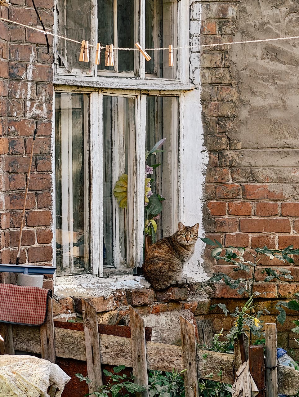 Фотоальбом: как мы провели день в Самаре