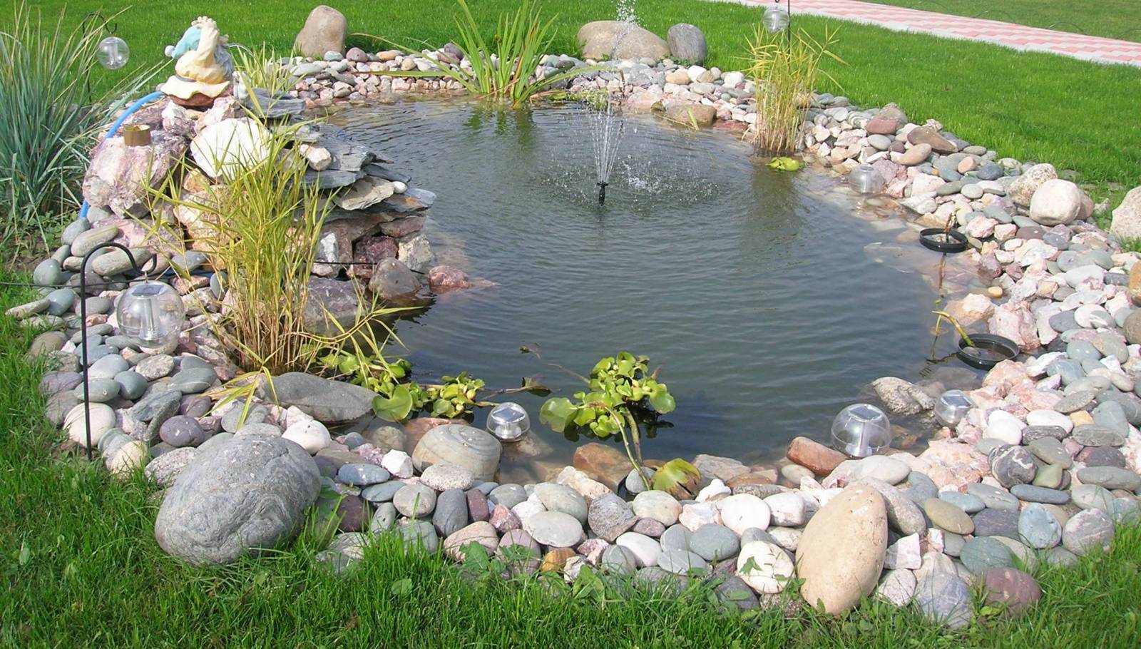 Пруд на участке: как создать личный оазис и не превратить его в болото