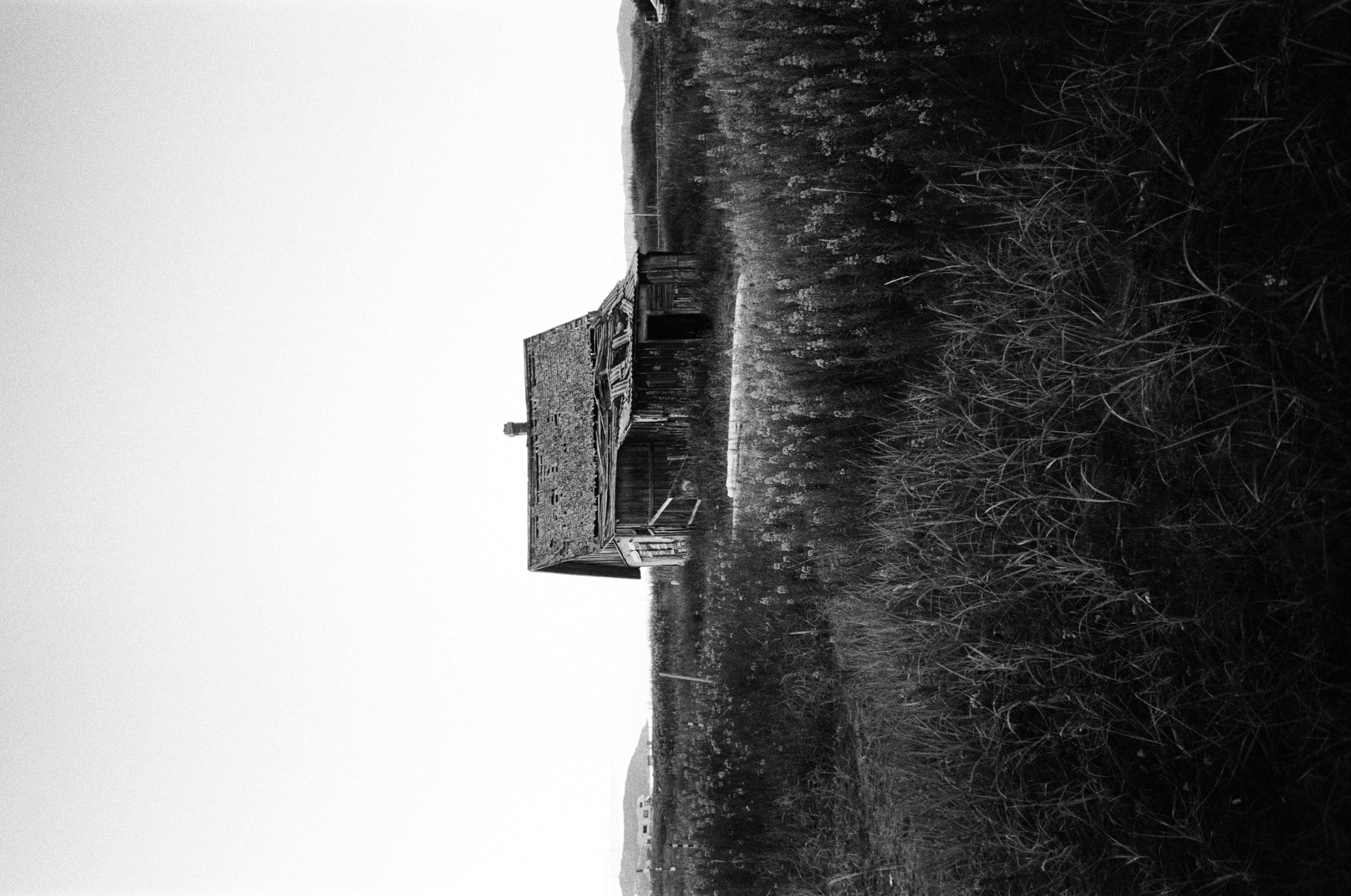 Фотоальбом: как я съездил в Териберку в августе 2025 года