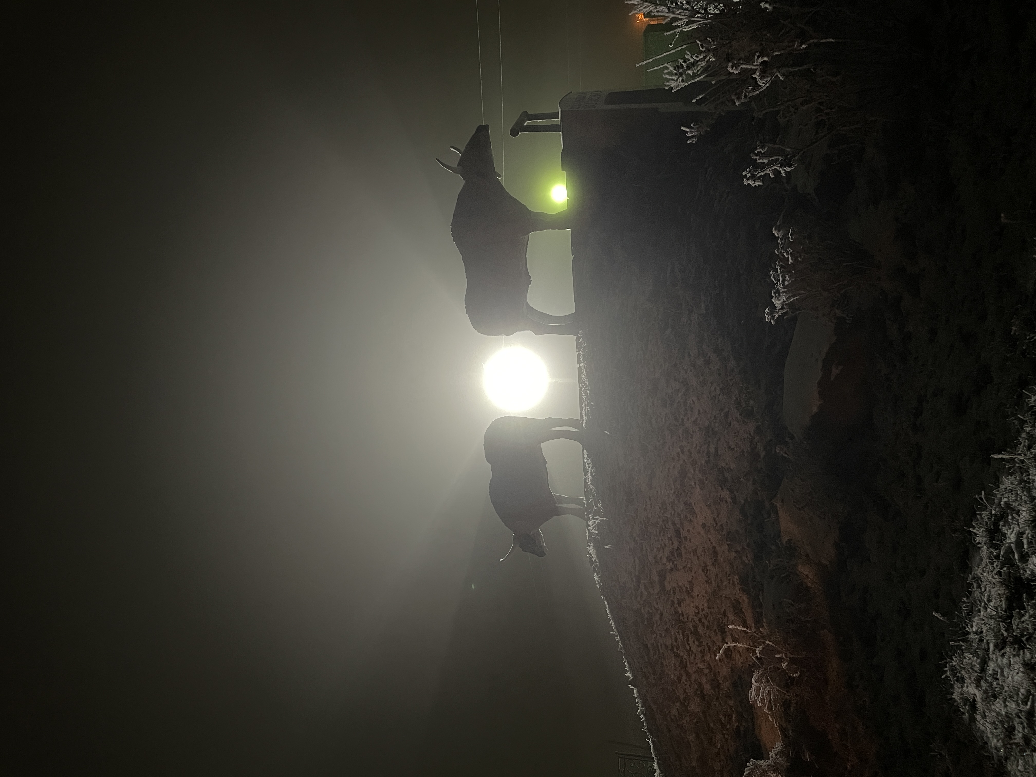 Сколько я потратила на путешествие из Москвы в Волово и Тулу