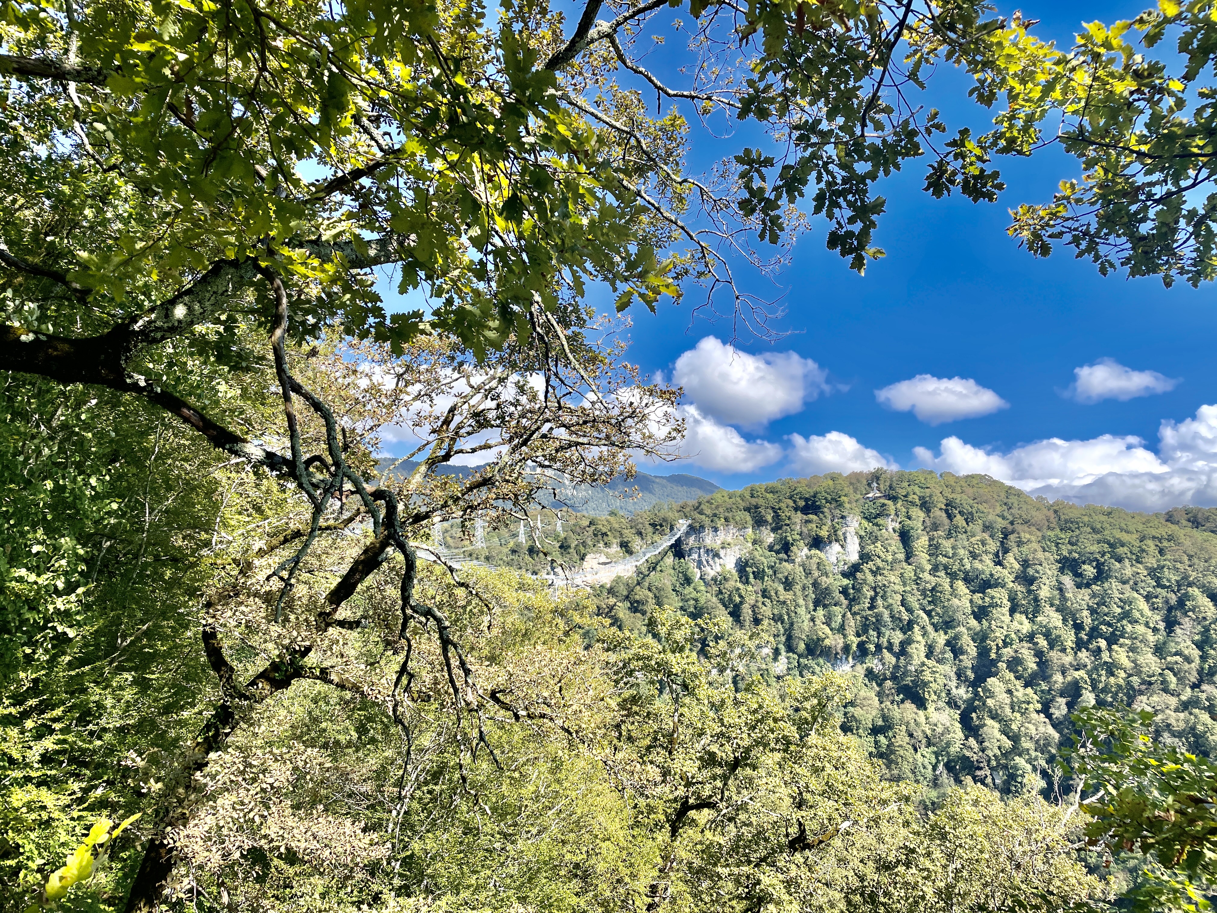 Фотоальбом: как мы летали в горах Скайпарка в Сочи