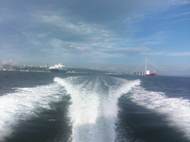 Путешествуем по воде: сколько гребных винтов должно быть у вашего катера