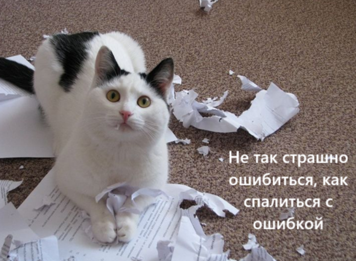 Паша в режиме апгрейда: как я нашел мотивацию, когда все пошло не так
