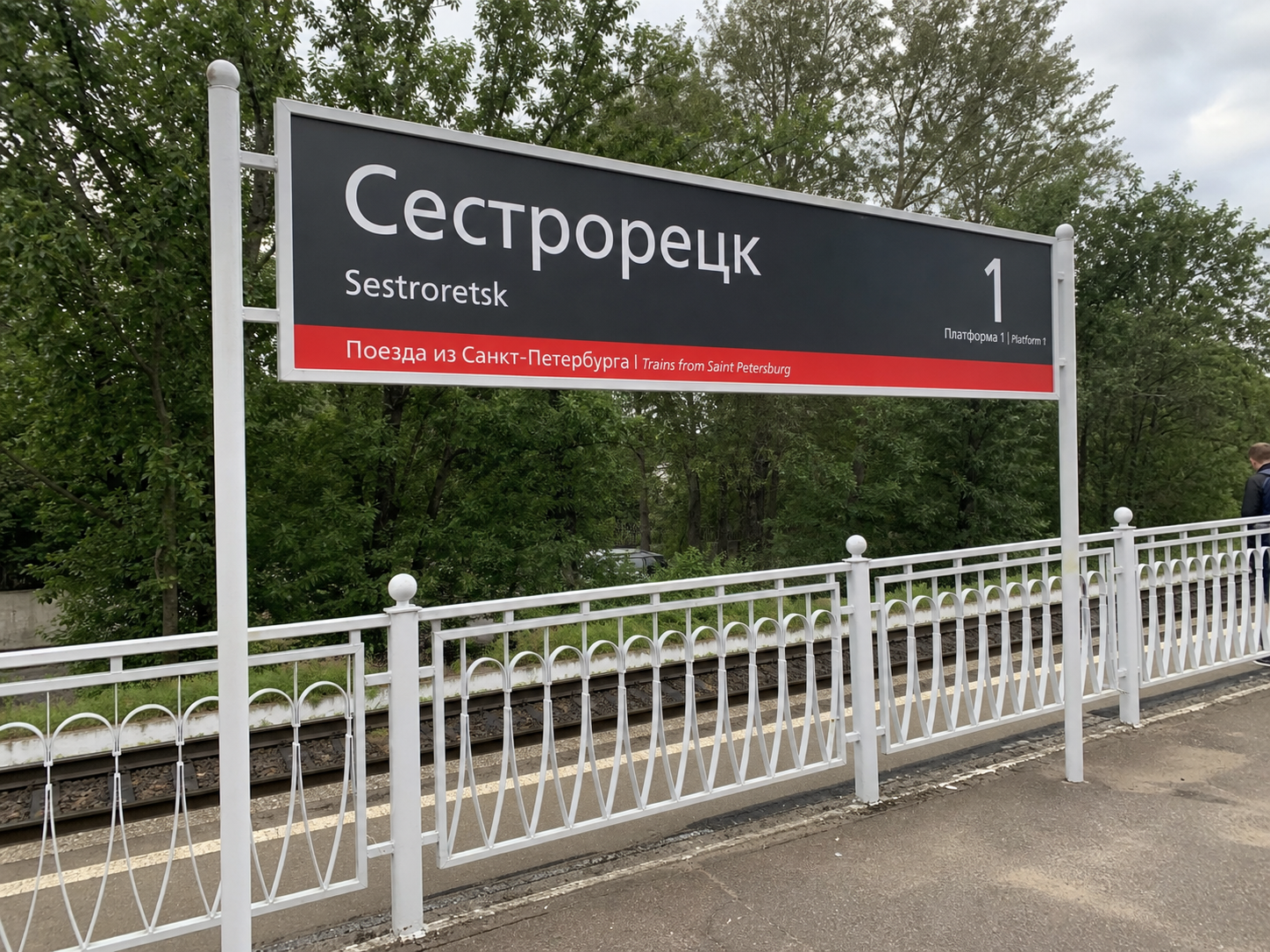 Старые дубы, Финский залив и никакой машины. Маршрут на полдня по Сестрорецку