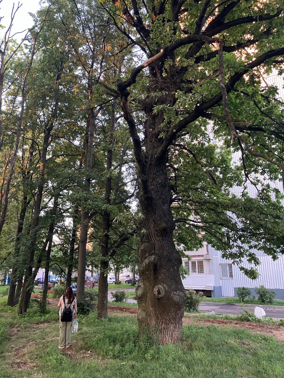 «Район для спокойной и размеренной жизни»: как живется в Чертаново в Москве