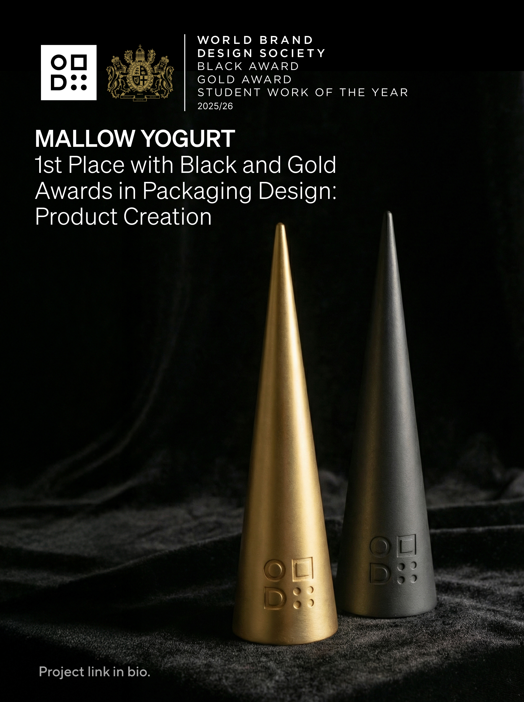 Я участвовала в конкурсе World Brand Design Awards и выиграла наивысшую награду Black Award