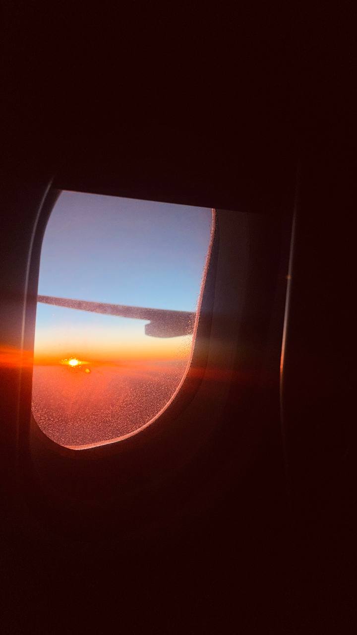 Как я подготовилась к самостоятельному путешествию на Шри-Ланку