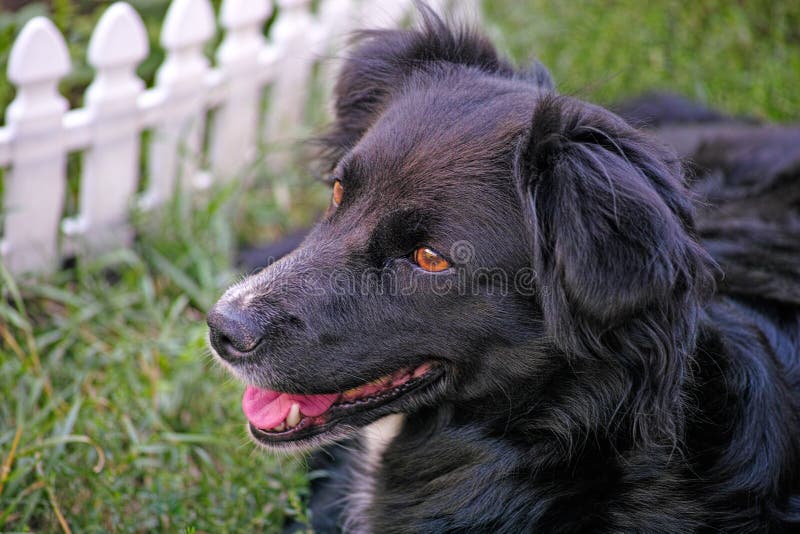 Письмо психологу: как простить себе малодушность?