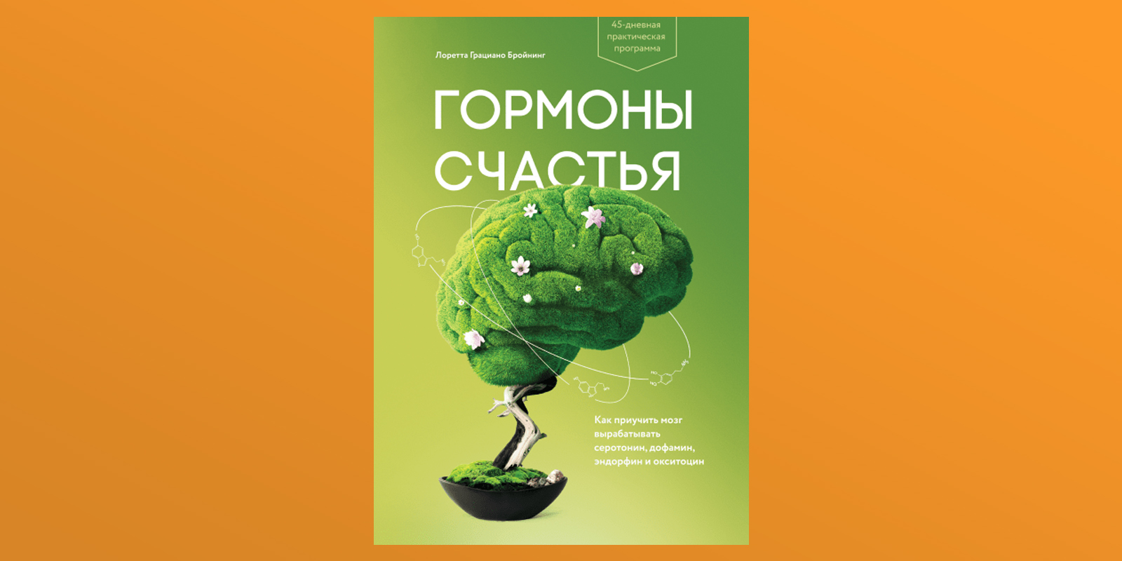 Я прочитал книгу «Гормоны счастья» и узнал, как формировать новые и счастливые привычки