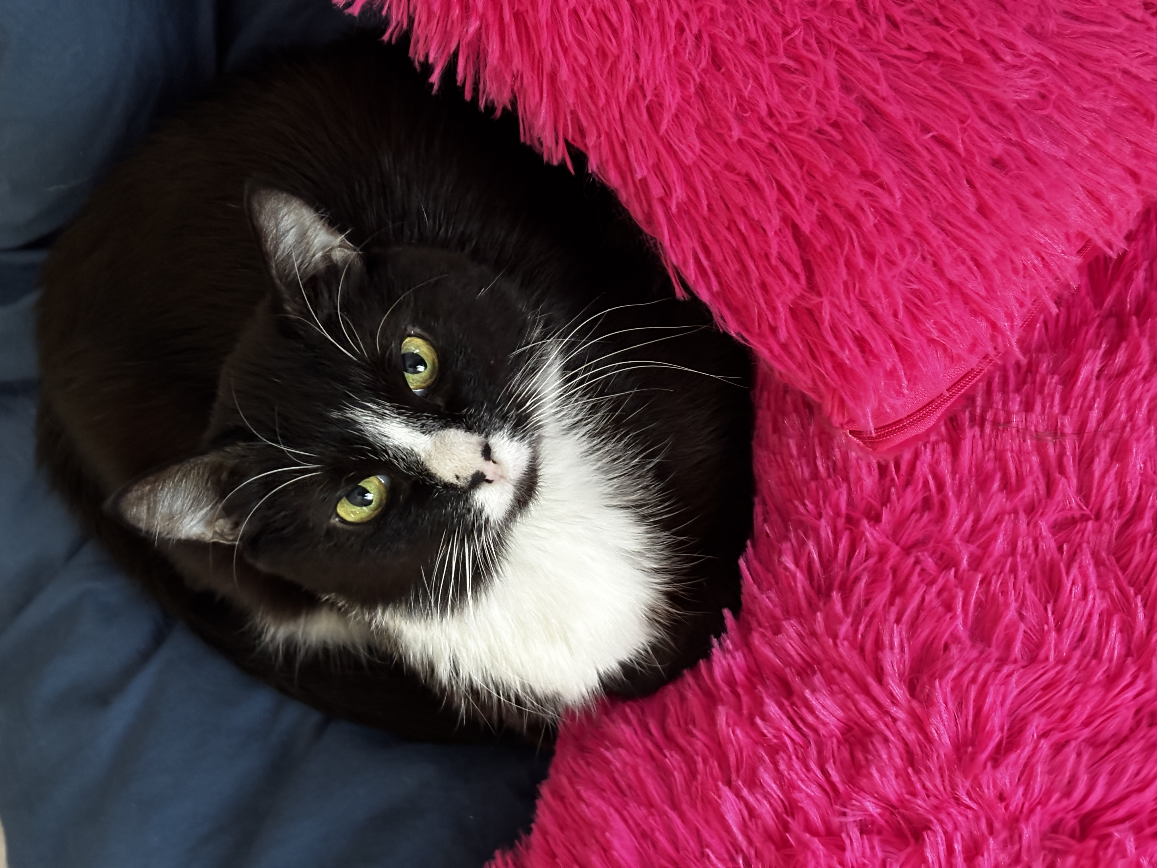 Переживаю за молодых людей 16+, в которых узнаю себя в прошлом