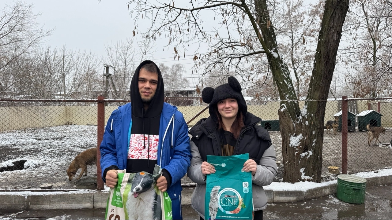 Я помогаю приюту для животных просто потому, что люблю их