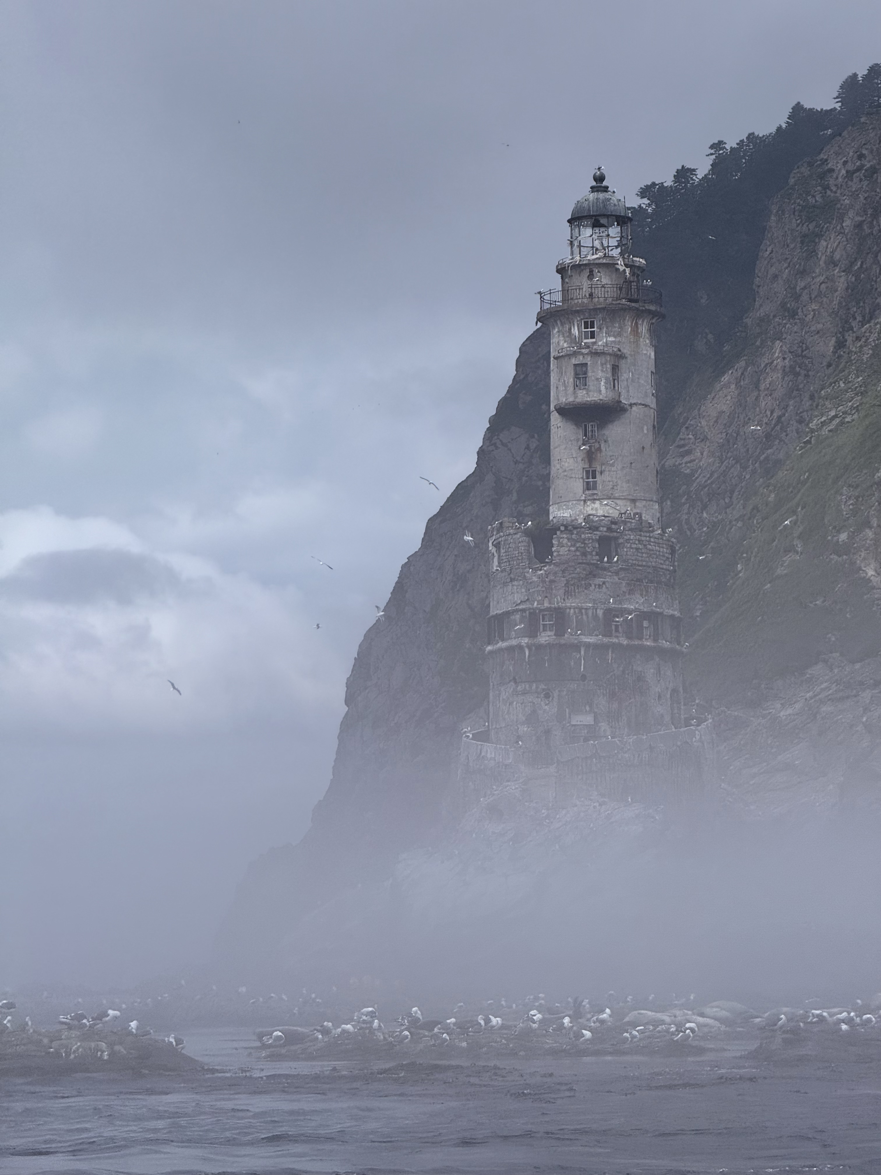 «Размеренный темп жизни и дальневосточная диета»: как мы провели 4 месяца на Сахалине