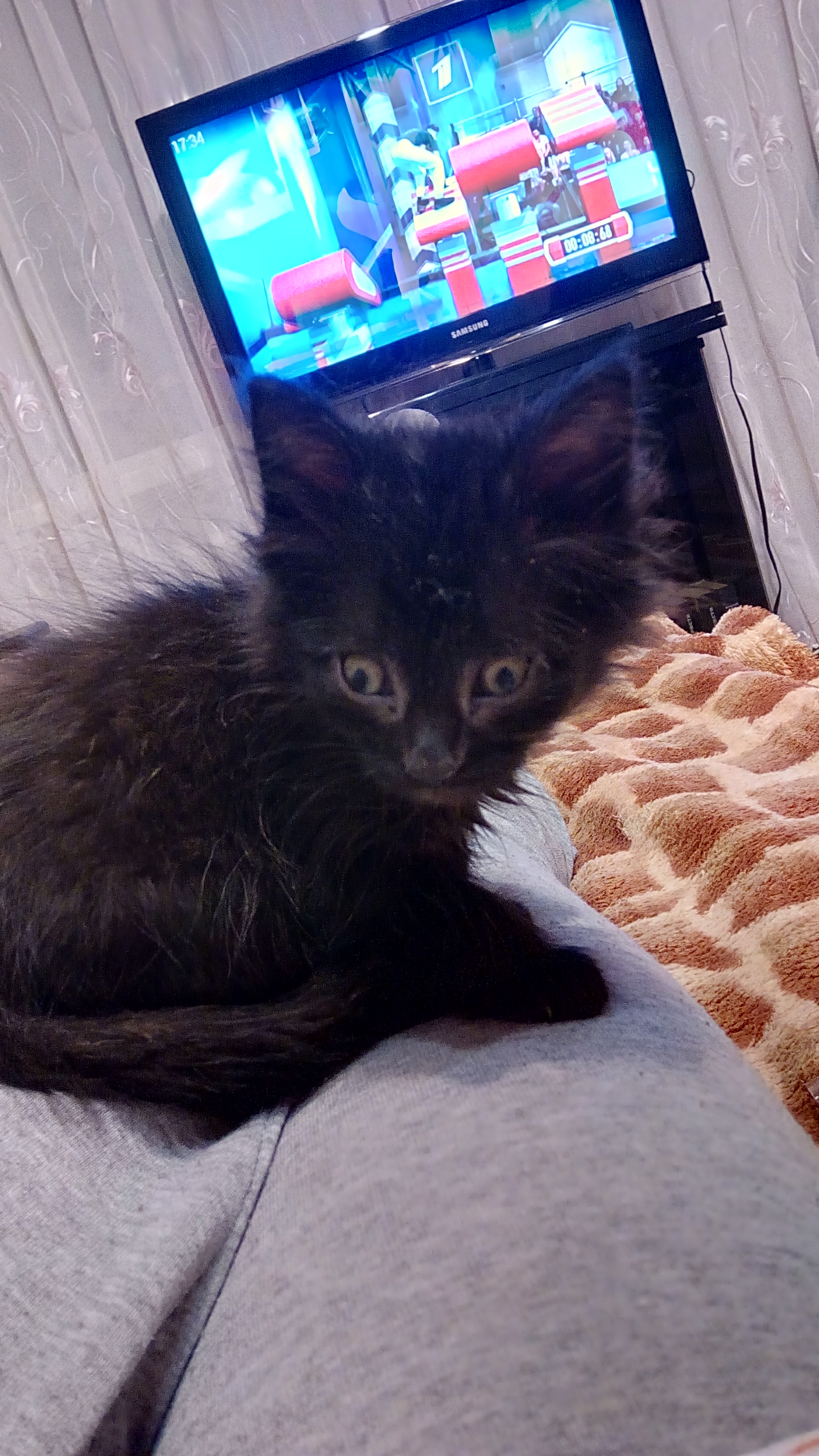 До и после: кот Черныш в детстве и сейчас