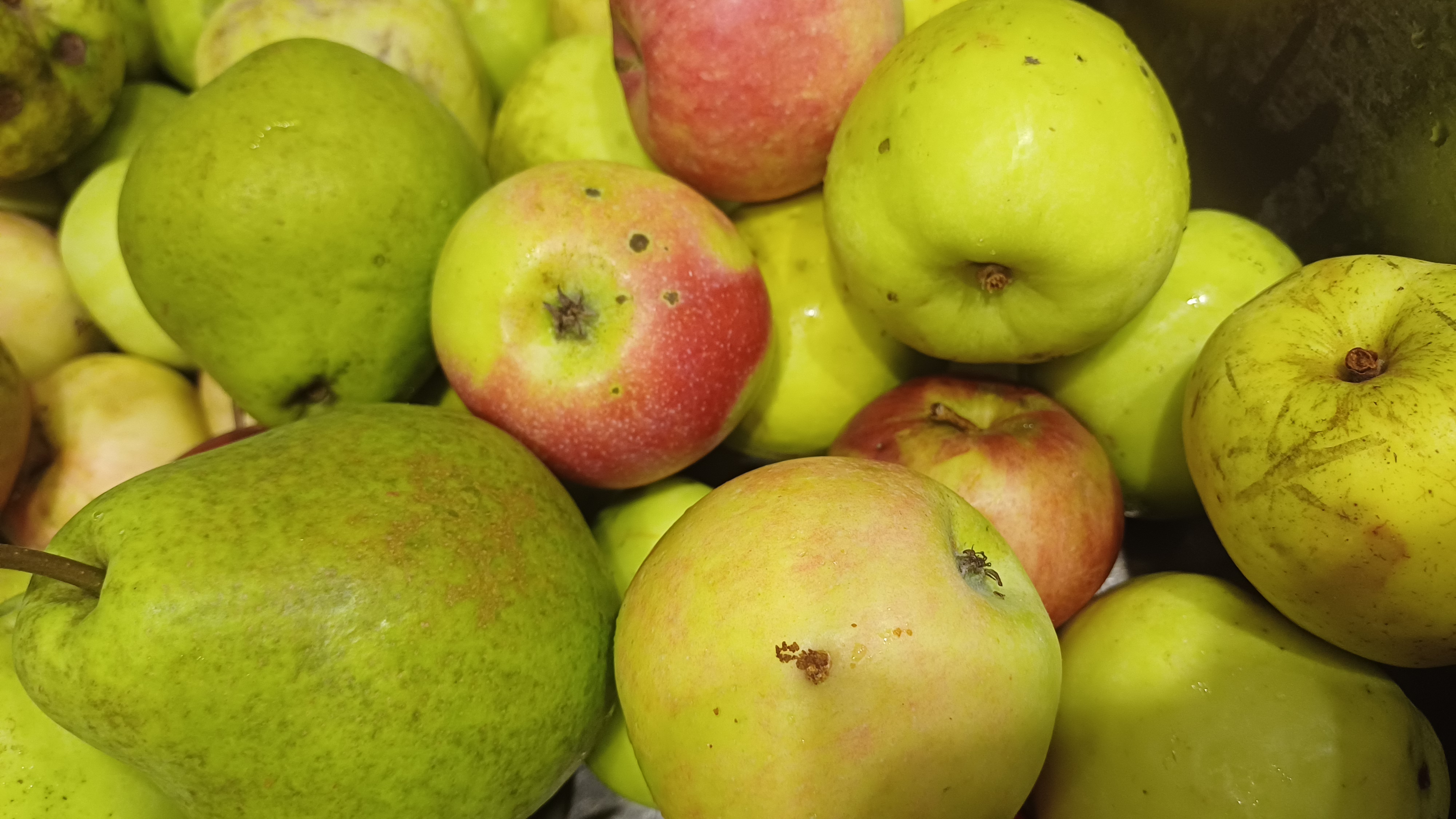 Мой рецепт: яблочное пюре без суеты