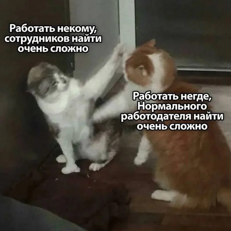 Почему HR не отвечает, а на hh — одни отказы