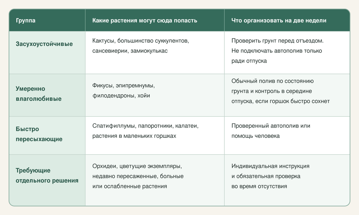 Уезжаю на две недели: чек-лист подготовки комнатных растений к отпуску