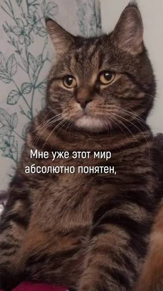 В каком возрасте вы поняли этот мир?