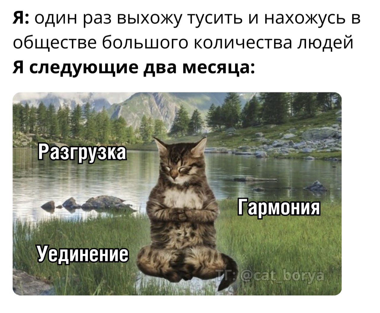 10 моих любимых мемов об интроверсии