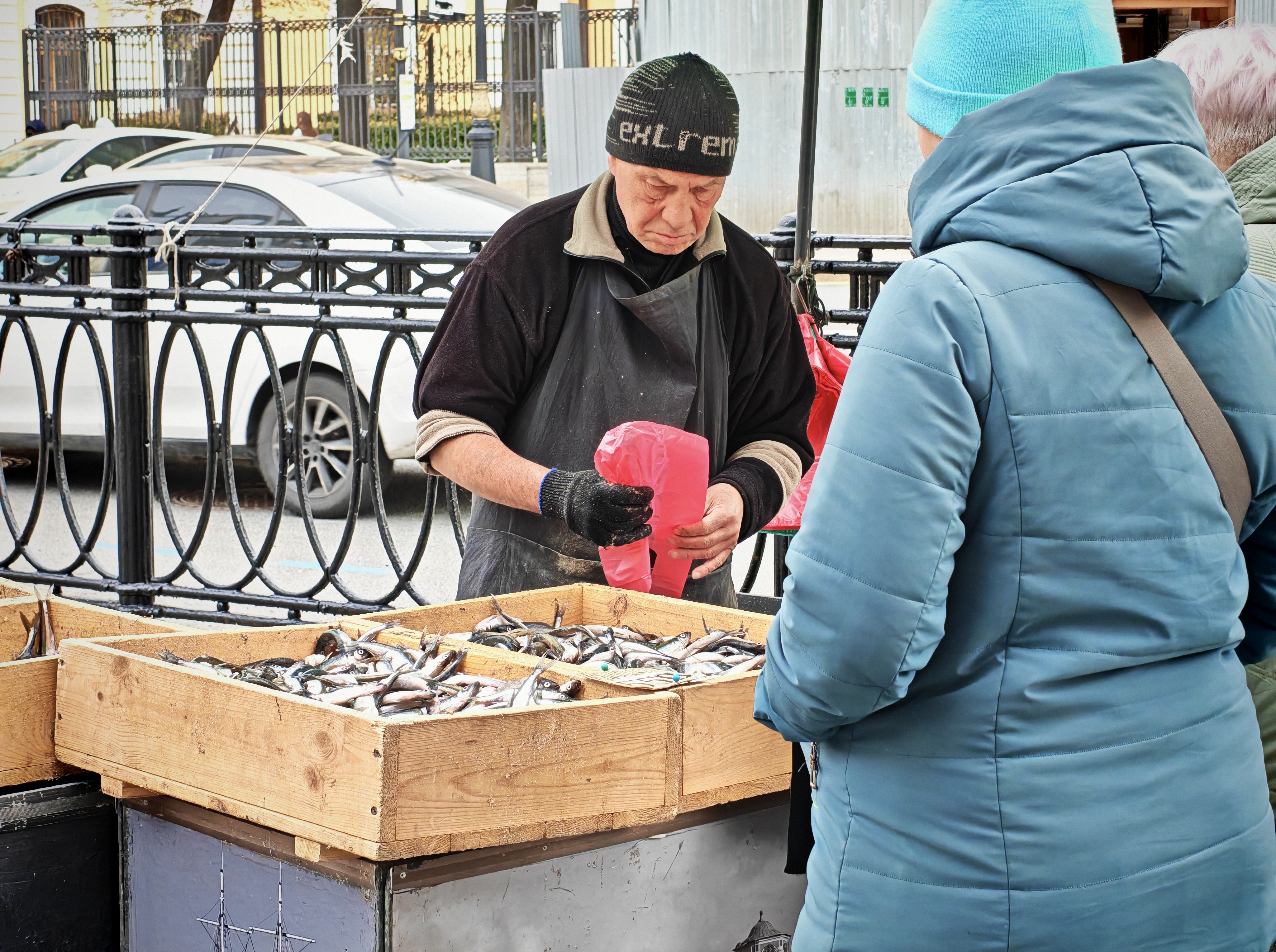 Спонтанный портрет: сезон корюшки