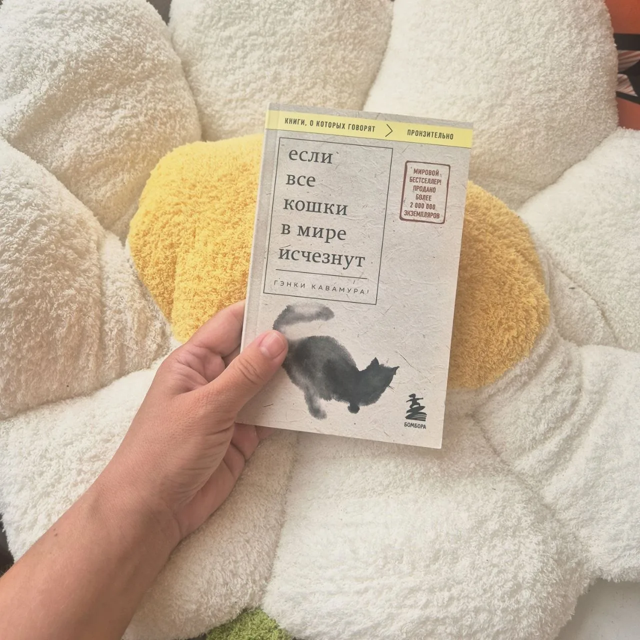 Что такого интересного можно найти в книге «Если все кошки в мире исчезнут» Гэнки Кавамура