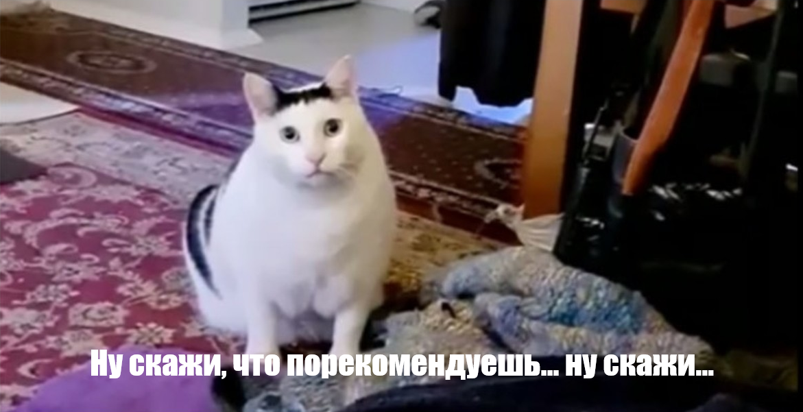 Зачем сервисы постоянно спрашивают, порекомендую ли я их