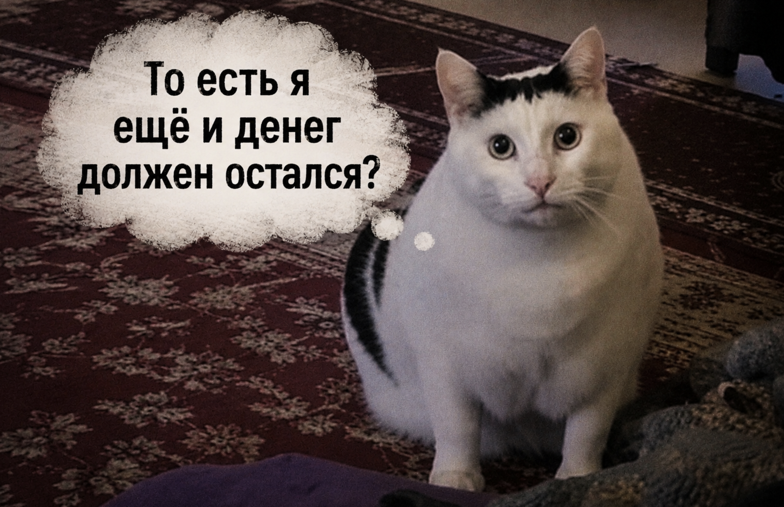 Могут ли с директора компании взыскать недоимку по налогам после уголовного дела