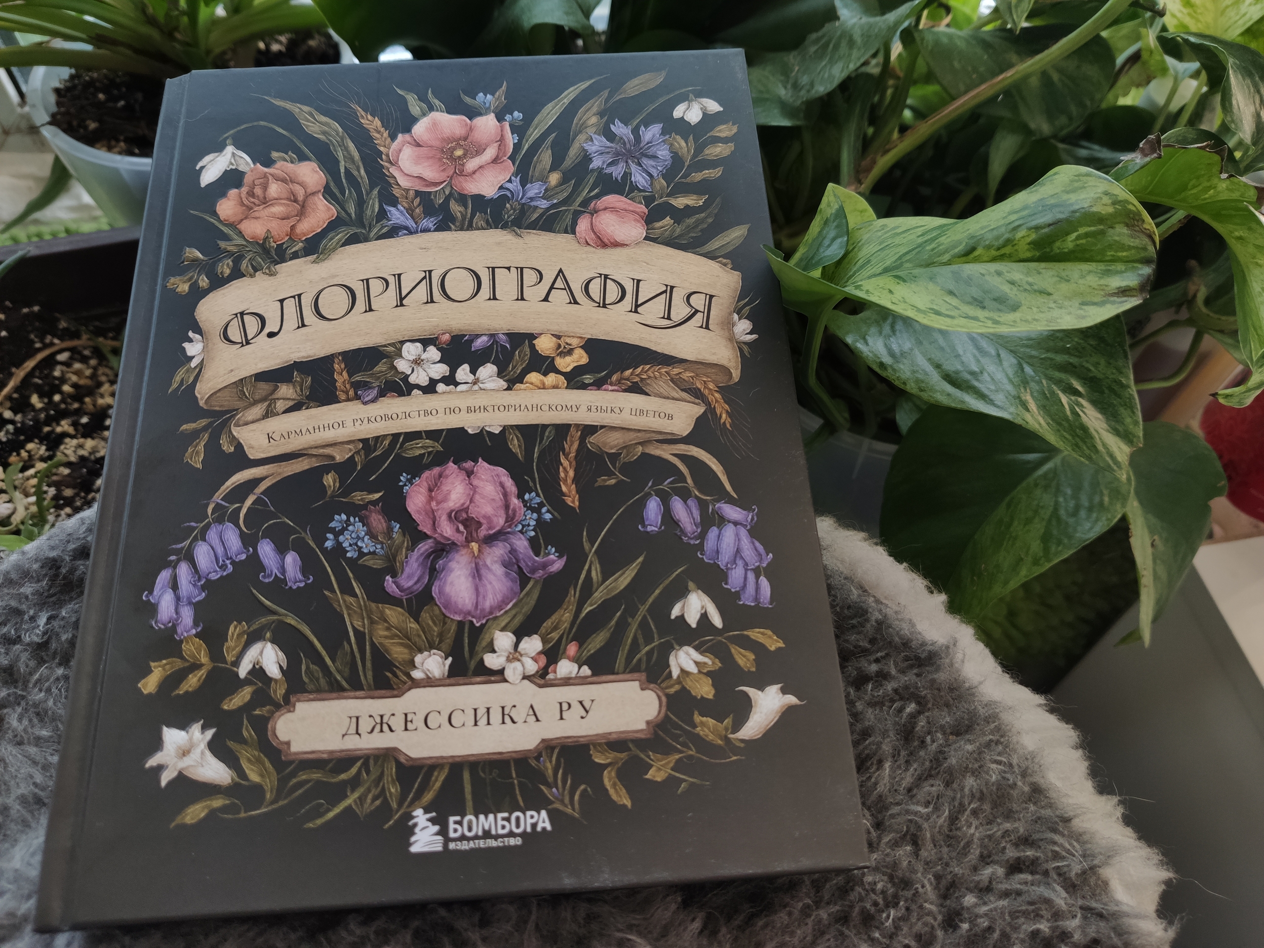 Драконы, Петербург и ботаника: три книги июня