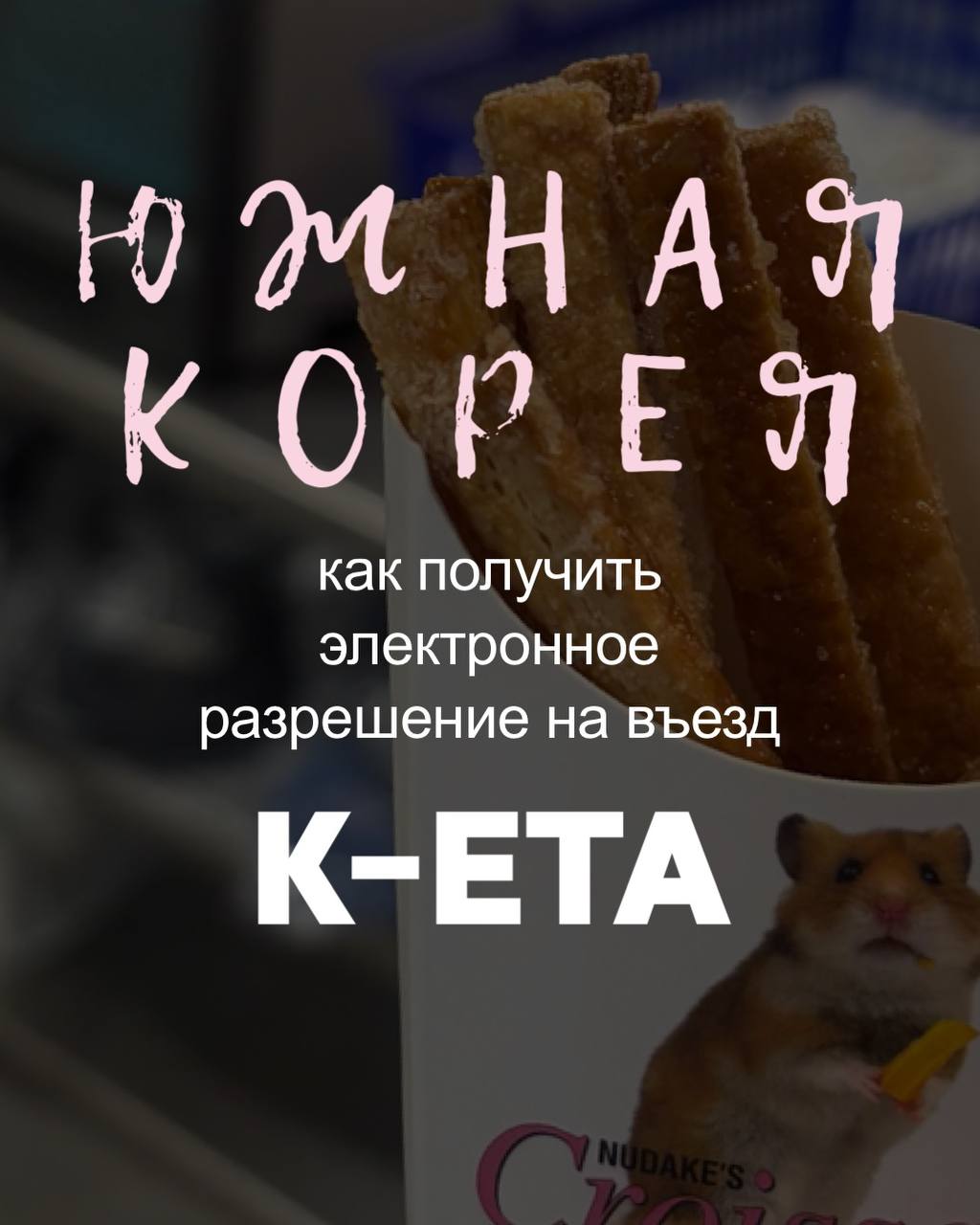 «K-ETA можно оплатить российской картой»: как получить разрешение на въезд в Южную Корею в 2026
