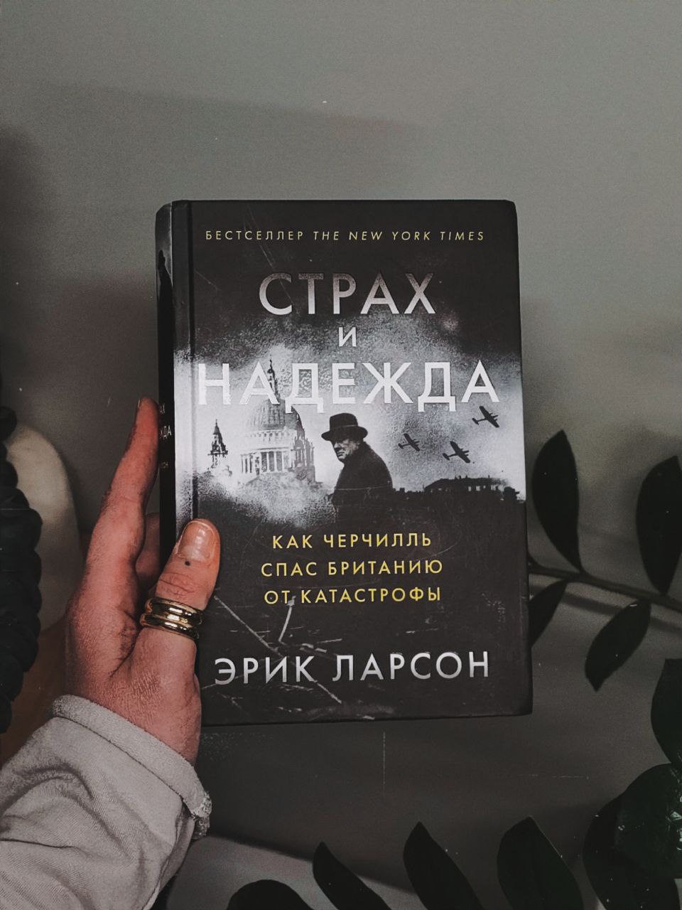 Рекомендую: лучшее, что я прочитала за первое полугодие 2026 года