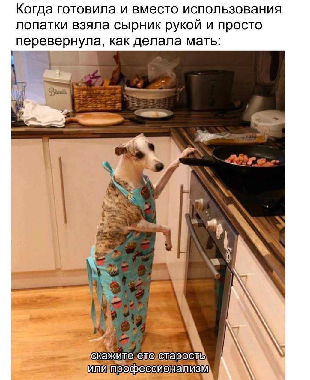 Покажите любимые мемы о готовке