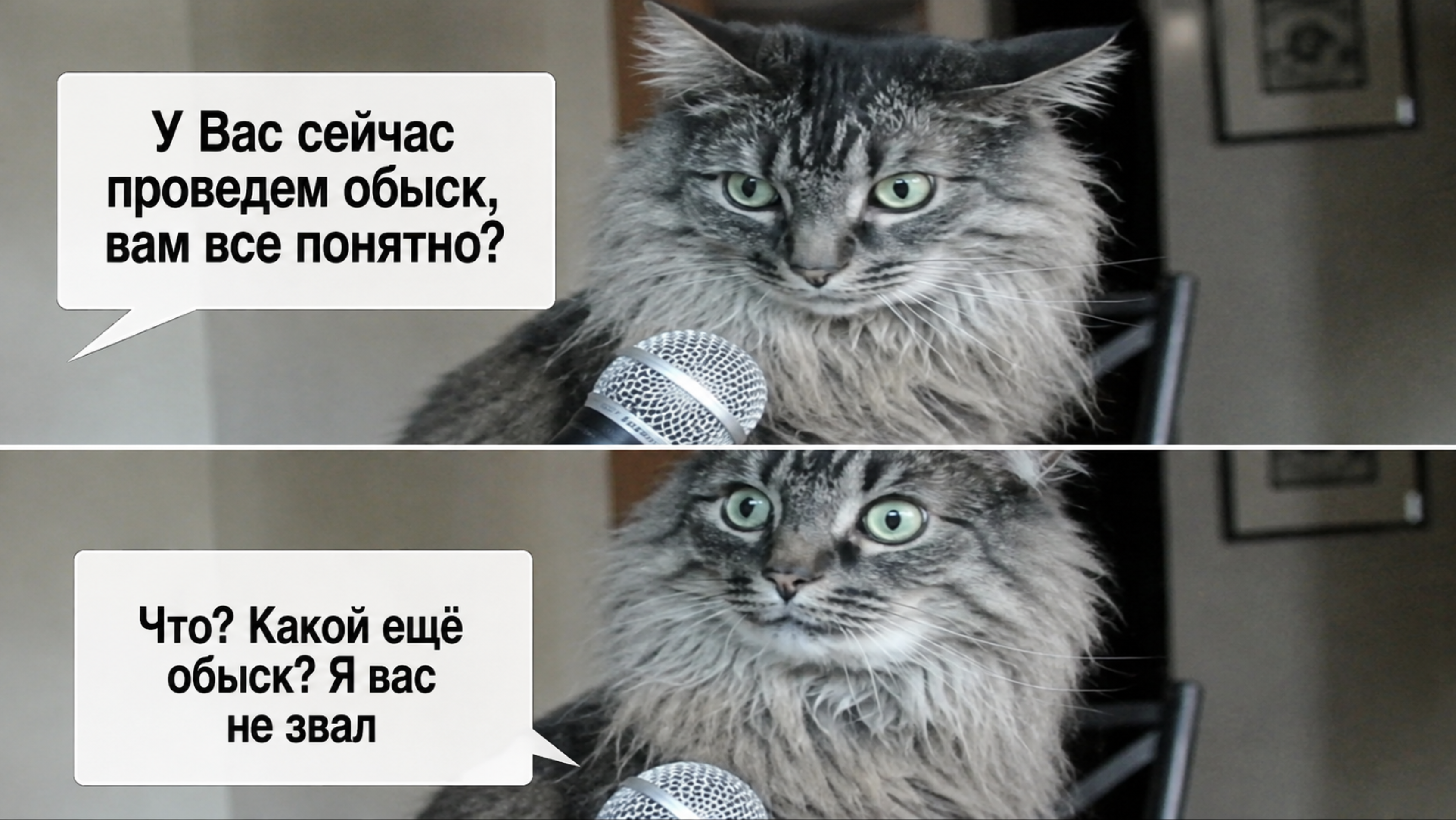 В офис пришли с обыском: что делать в первые минуты и почему лучше меньше говорить