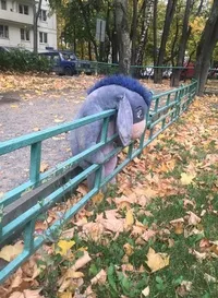 Аватар автора