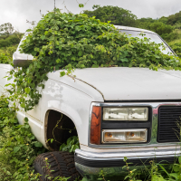 Обложка статьи