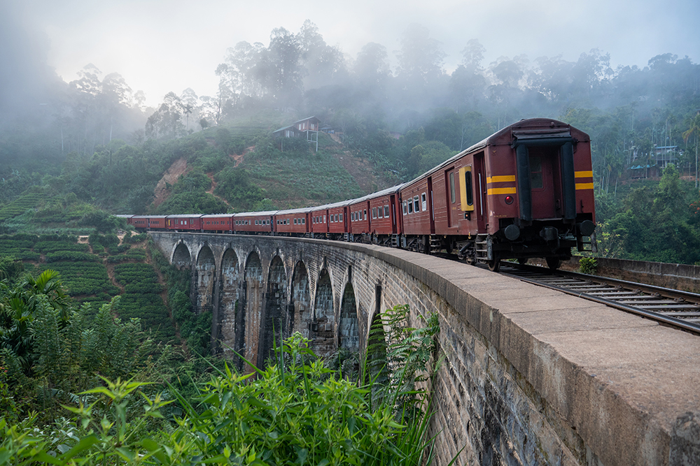 Во время путешествия на поезде видишь всю красоту Шри-Ланки. Фотография: Mystockimages / iStock
