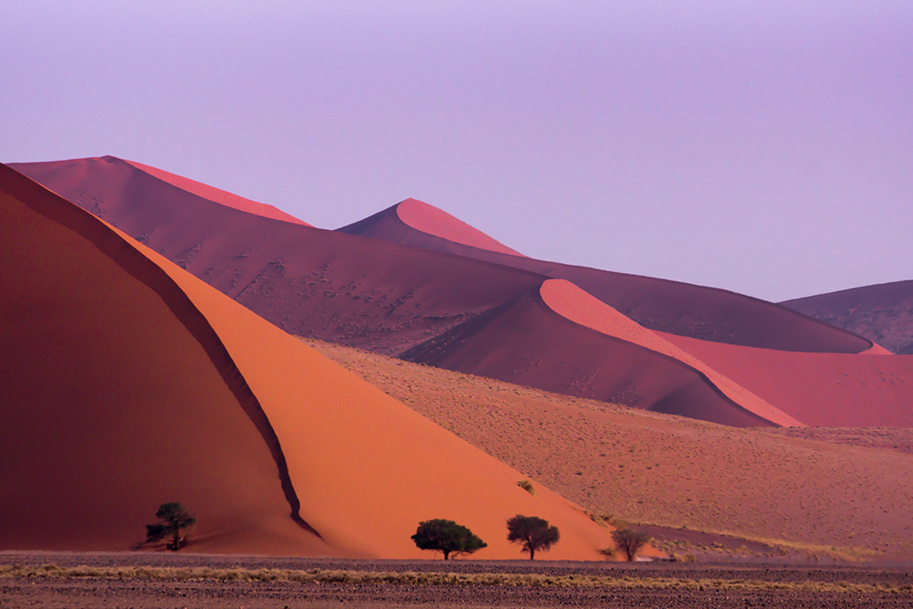 В ноябре в Намибии еще сухо и есть возможность увидеть красные дюны во всей их красе. Фотография: Rob_Weir / iStock