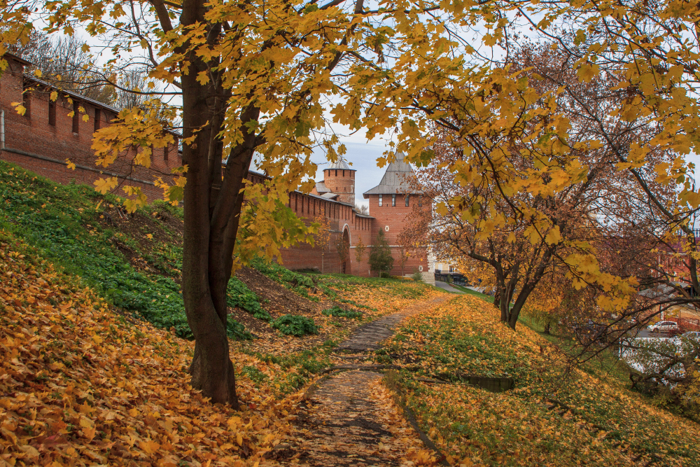 По территории кремля гуляют бесплатно. Источник: Tatiana Shakhova / Shutterstock
