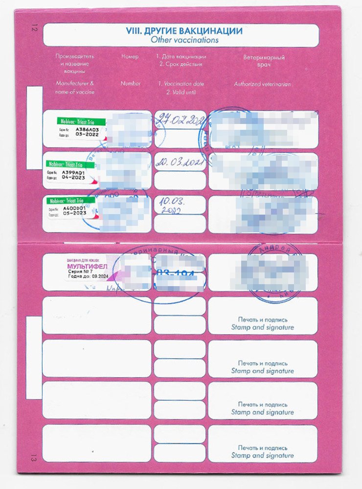 В паспорт животного вносят информацию о каждой прививке: название и номер вакцины, дату, печать и подпись врача