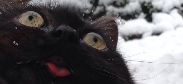 Какая странность у вас есть?