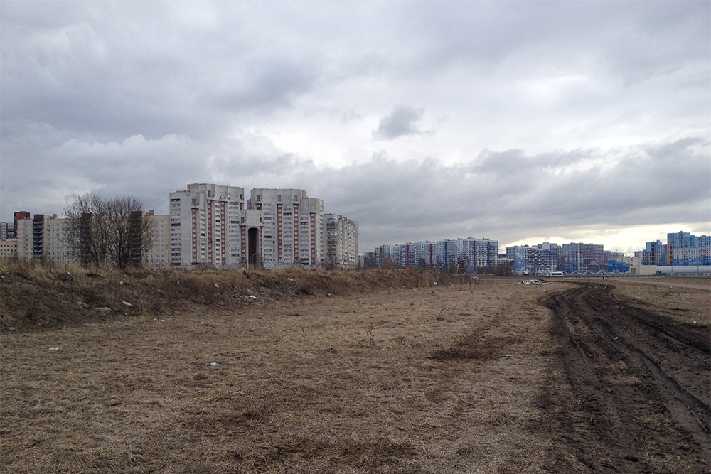 Пока будущий Линейный парк выглядит так: кругом пожухлая трава, мусор и грязь
