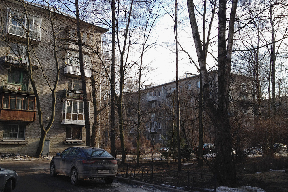 Уютные дворики на улице Нахимова. Летом тут очень зелено. До метро — минут 15 пешком. Здесь можно снять маленькую однушку за 20 000 ₽