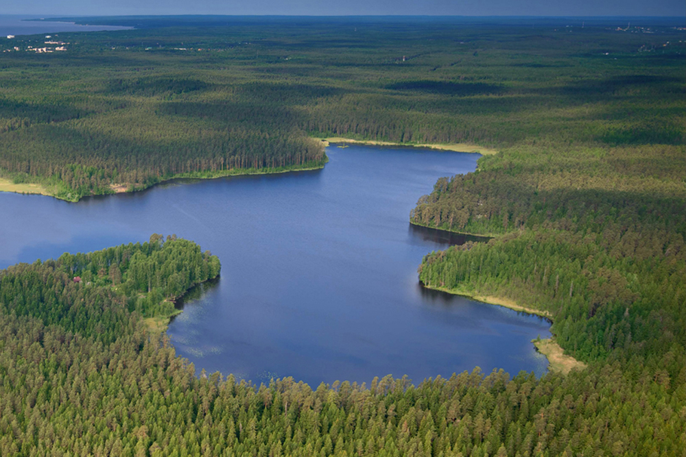 Щучье озеро с высоты. Источник: oopt.spb.ru