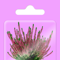 Обложка статьи