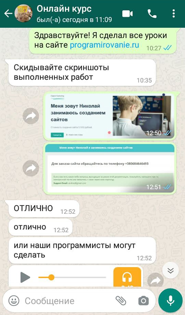 За экзамен по «Вотсапу» я получил «отлично». Но мошенник хвалил меня не просто так: он хотел внушить, что я действительно могу зарабатывать на создании сайтов